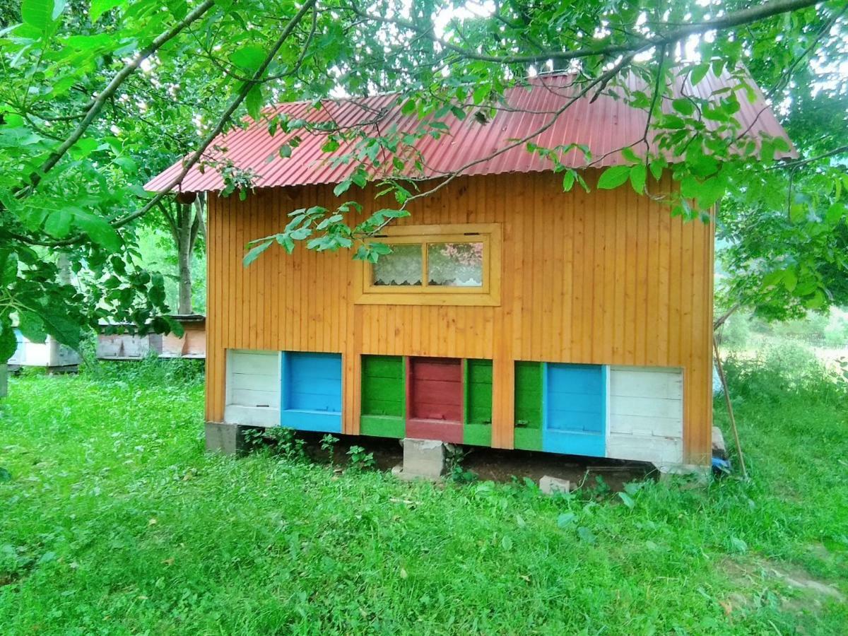 Відпочинок У Карпатах, Мінеральні Ванни, Банний Чан! Vendégház Felsősebes Kültér fotó